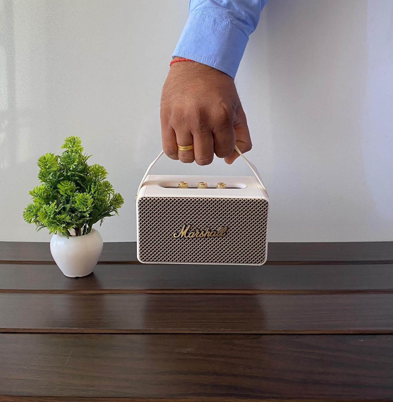MARSHALL KILL BURN 2 SPEAKER